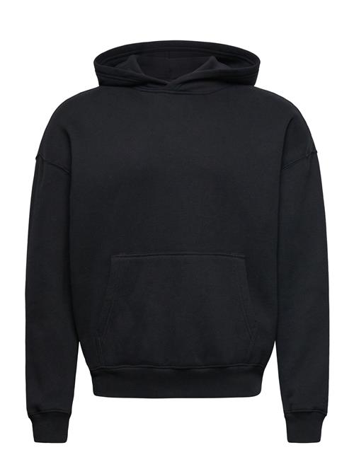 Hco. Guys Sweatshirts Hollister Black