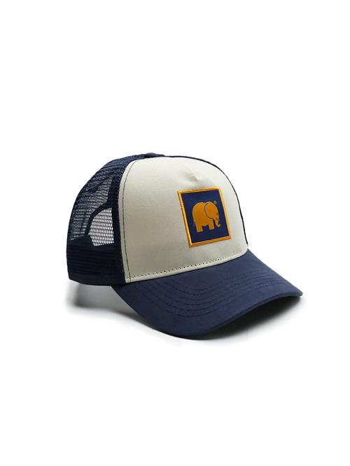 Trendsplant Hætte ' CLASSIC TRUCKER '  blå