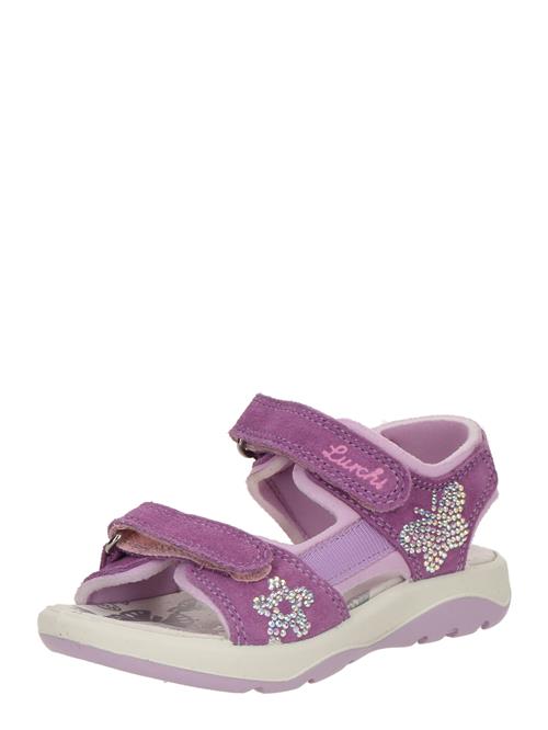 LURCHI Sandaler  lilla / blomme / lilla / transparent