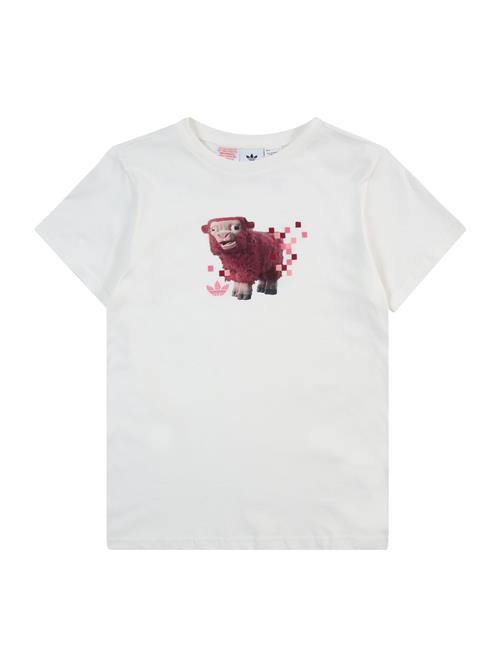 ADIDAS ORIGINALS Shirts  brun / pink / hvid