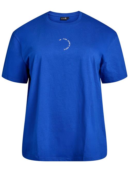 Active by Zizzi Shirts 'Cenja'  blå / hvid