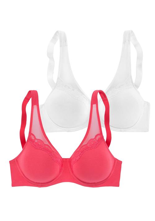 PETITE FLEUR Minimizer  pitaya / hvid