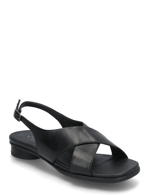 Sculpted Alba 25 ECCO Black