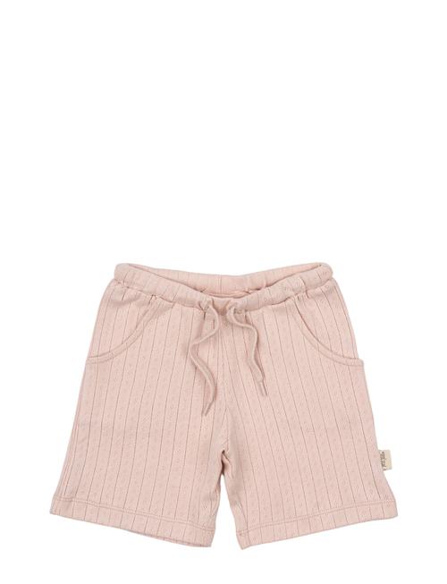 Shorts Pointelle Petit Piao Pink