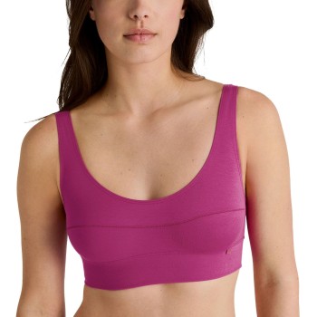 Calida Bh Elastic Top Chok Rosa bomuld X-Small Dame