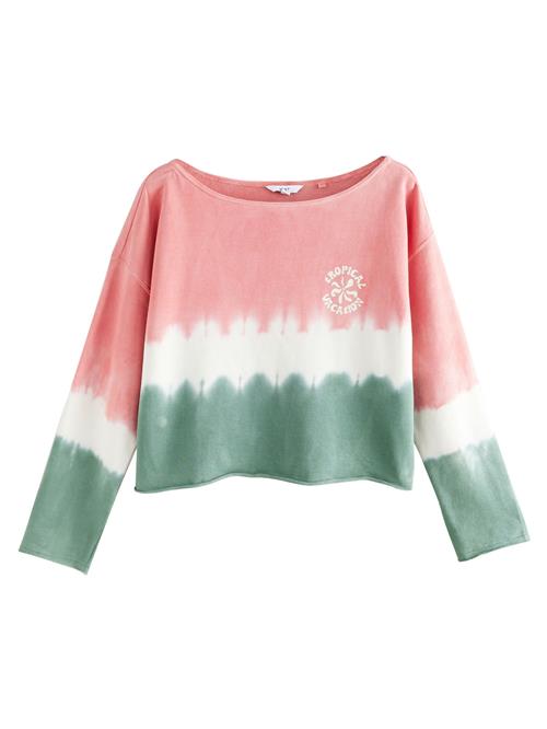 Next Sweatshirt  jade / pitaya / hvid