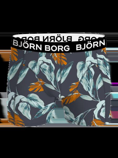Björn Borg Microfiber Boxer 1-pack Multi, L