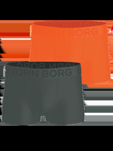 Björn Borg Sports Mesh Trunks 2-pack Multi, S
