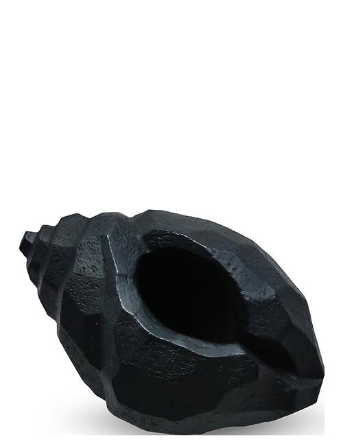 Sculpture The Pear Shell Limest Cooee Design Black
