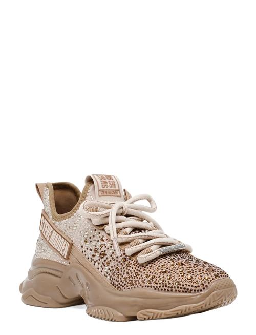 Mistica Sneaker Steve Madden Gold
