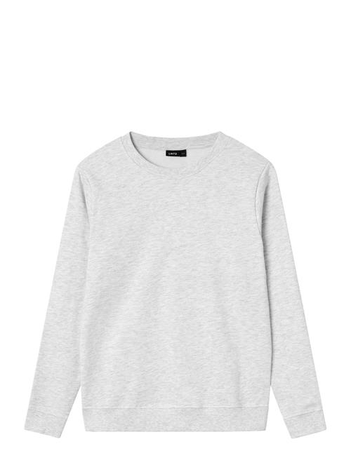 Nlnnizu Ls Bru O-Neck Sweat Noos LMTD Grey