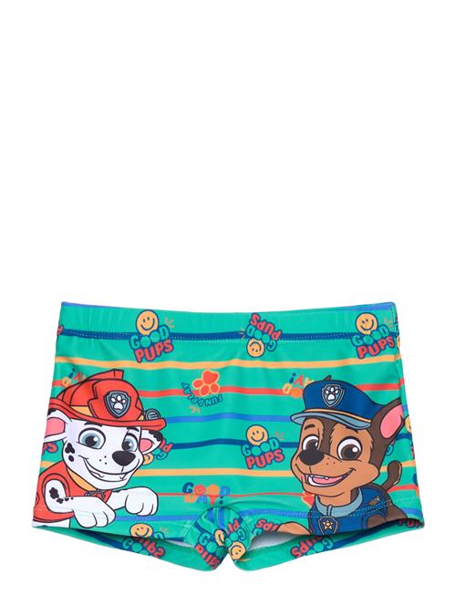 Swimsuit Paw Patrol Patterned