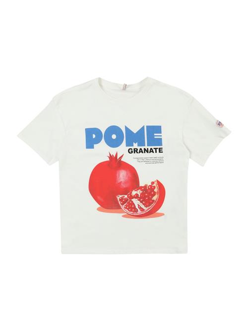 ONLY GIRLS Bluser & t-shirts 'KOGPhoebe'  royalblå / blodrød / sort / hvid