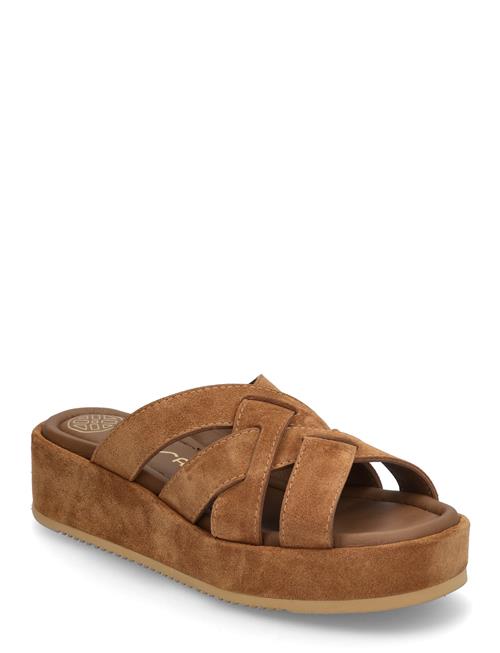 Katoubs UNISA Brown