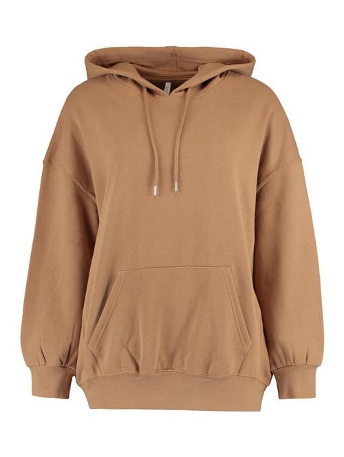 Hailys Sweatshirt 'Jussy'  lysebrun