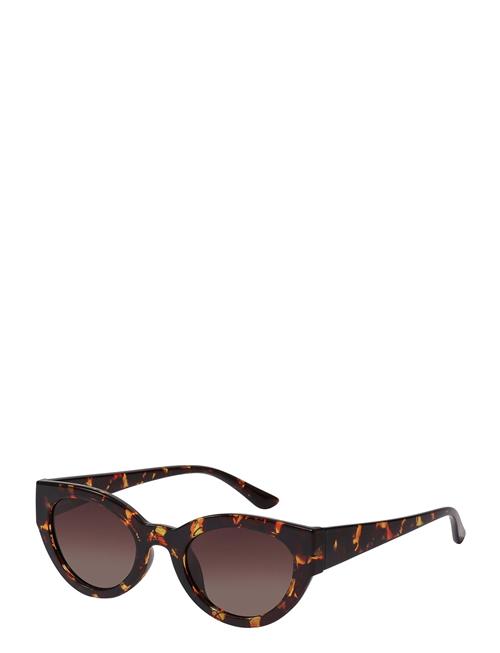 Juna Cat-Eye Sunglasses Tortoise Brown Pilgrim Brown