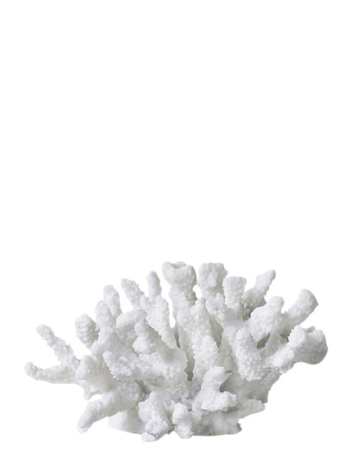 Coral, Branches Mette Ditmer White