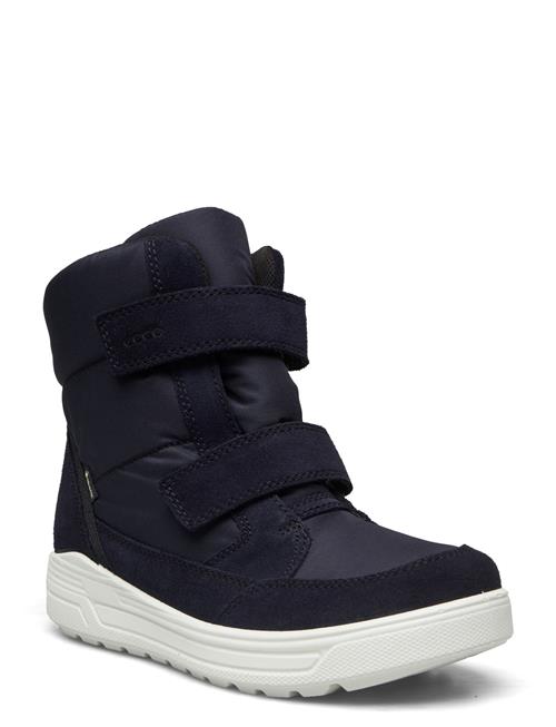 Urban Snowboarder ECCO Navy