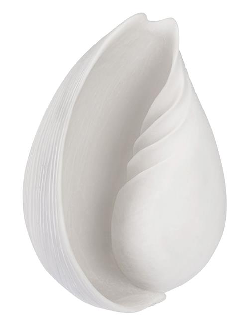 Conch Shell Mette Ditmer White