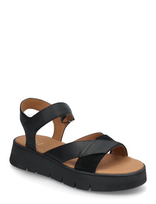 D Dandra 40 B GEOX Black