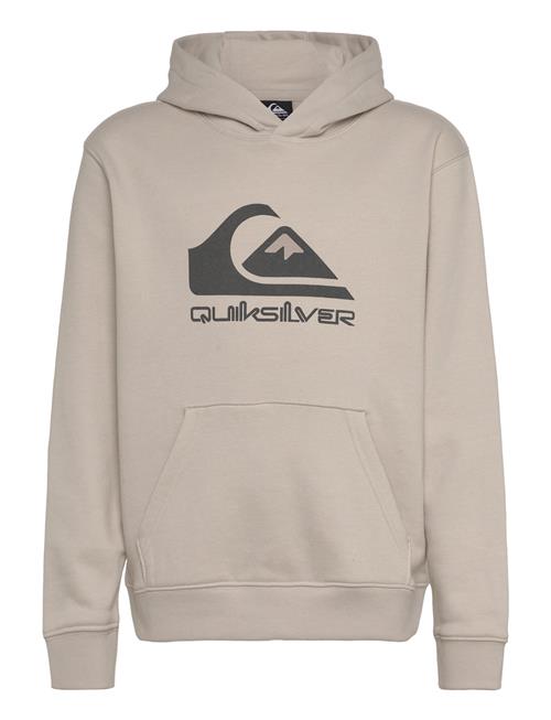 Se Big Logo Hoodie Youth Quiksilver Beige ved Booztlet