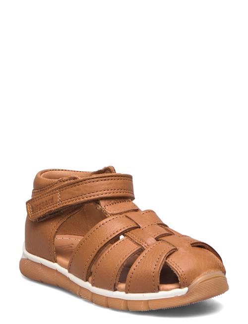Bisgaard Billie Bisgaard Brown