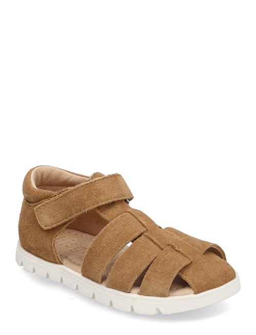 Bisgaard Beka S Bisgaard Brown