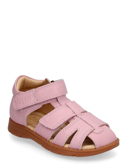 Bisgaard Frans Bisgaard Pink