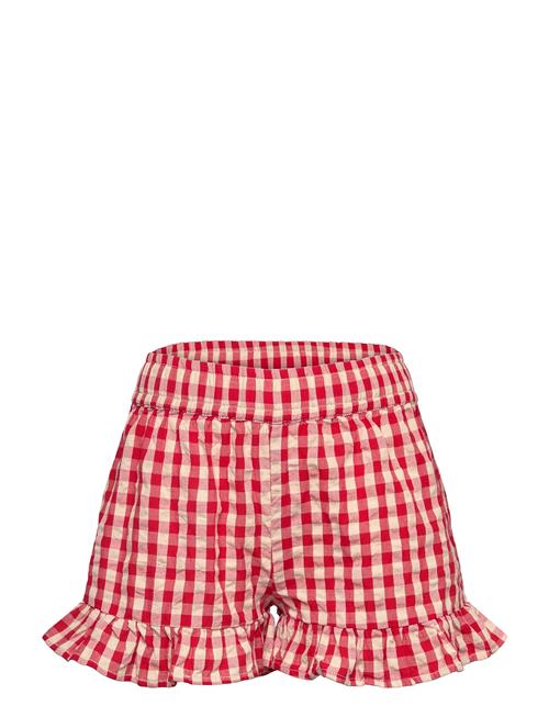 Tnnally Shorts The New Red
