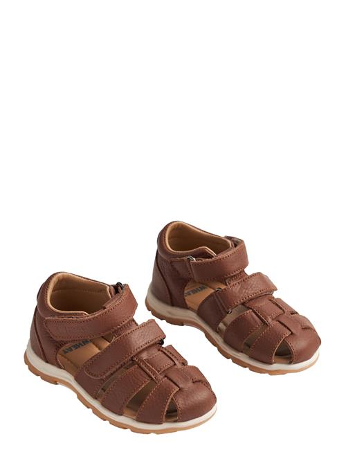Sandal Frei Wheat Brown