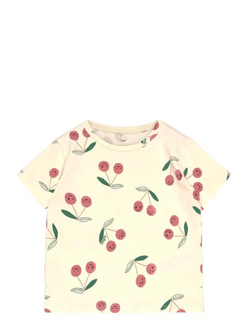 Tnstolivia S_S Tee The New Cream