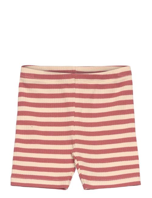 Tnstfro Uni Tight Rib Shorts The New Pink