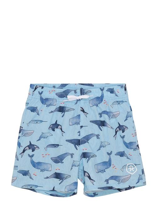 Se Swim Shorts, Aop Color Kids Blue ved Booztlet