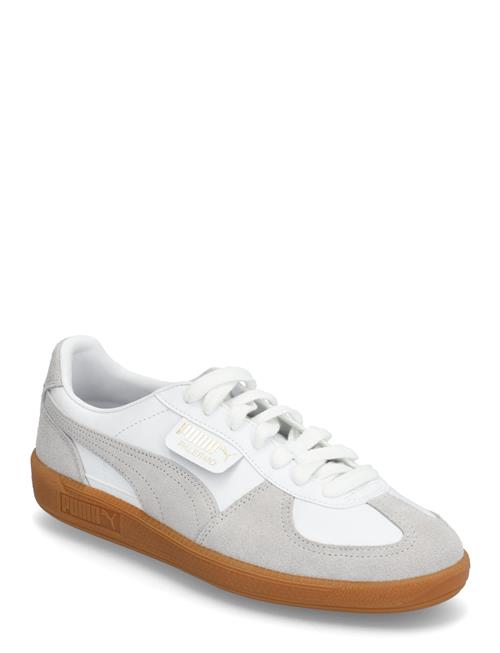 Se Palermo Lth PUMA White ved Booztlet