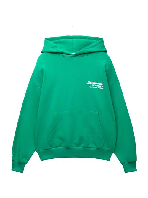 Pull&Bear Sweatshirt  grøn / hvid