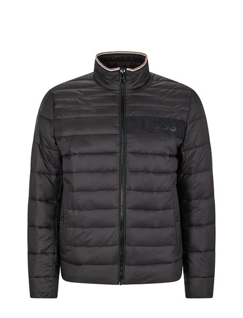 Darolus BOSS Black