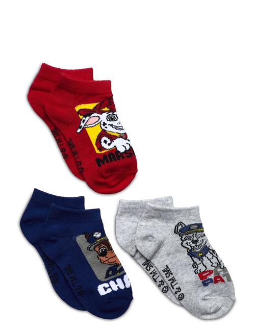 Socks Paw Patrol Patterned