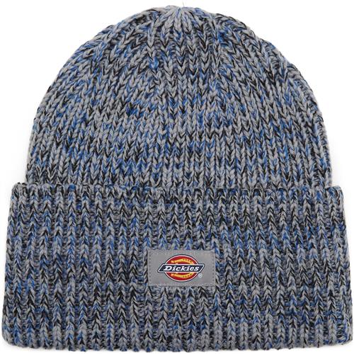 Dickies Lewistown Beanie