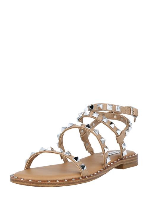 STEVE MADDEN Sandaler med rem 'TRAVEL'  lysebrun