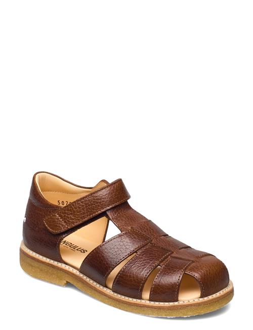 Sandals - Flat - Closed Toe - ANGULUS Brown