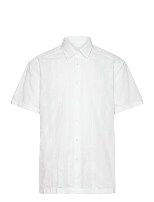 C-Cory-Sh-252 BOSS White