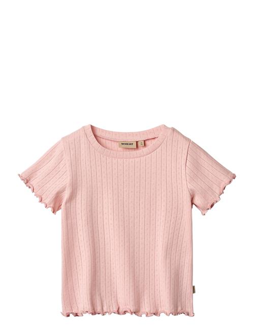 Rib T-Shirt S/S Irene Wheat Pink