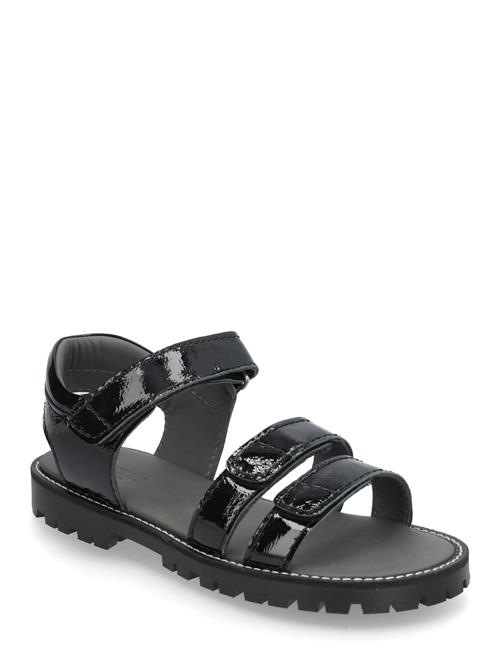 Sandals - Flat - Open Toe - Op ANGULUS Black