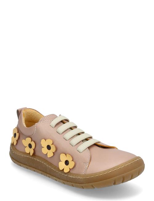 Shoes - Flat - With Lace ANGULUS Pink