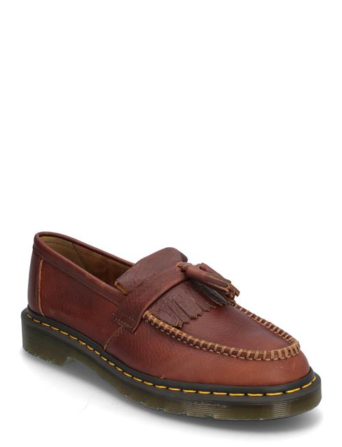 Adrian Ys Ambassador Dr. Martens Brown