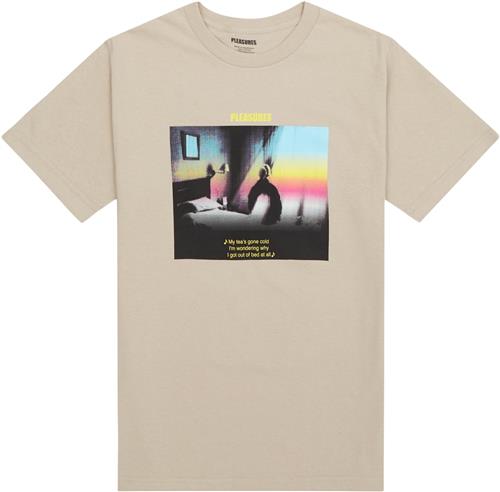PLEASURES NOW Window Tee