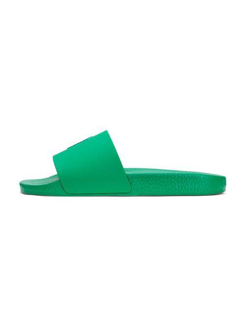 Polo Ralph Lauren Pantoletter  mørkeblå / lime