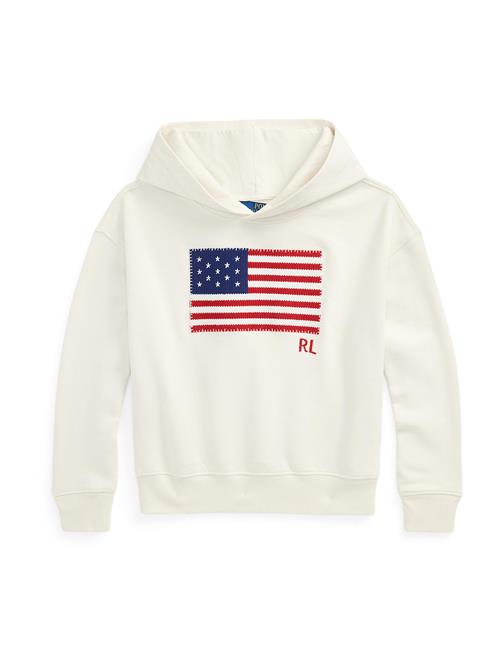 Polo Ralph Lauren Sweatshirt  navy / rød / offwhite