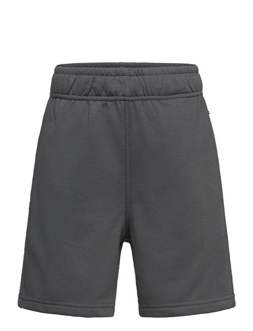 Adian Molo Grey