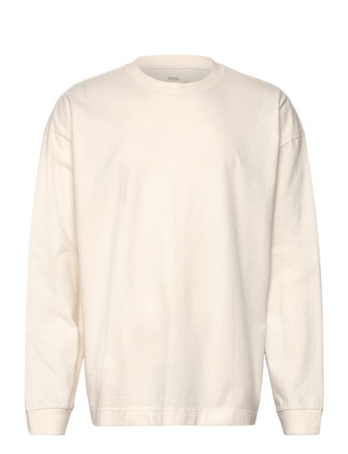 Hco. Guys Knits Hollister Cream